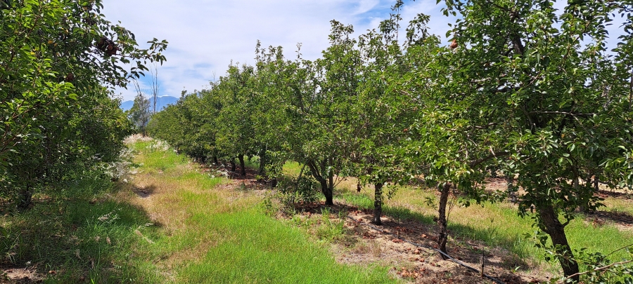 3 Bedroom Property for Sale in Wellington Rural Western Cape